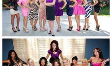 草泥玛视频,网络热梗背后的文化现象解析